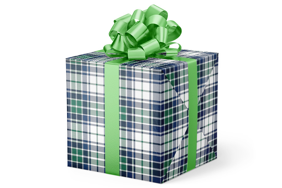 24-in x 417-ft Blue/Green Plaid Budget-Friendly Wrapping Paper (VAL-509)